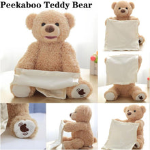 Pee Ka Boo Teddy Bear